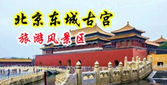 老骚屄舔小骚屄中国北京-东城古宫旅游风景区